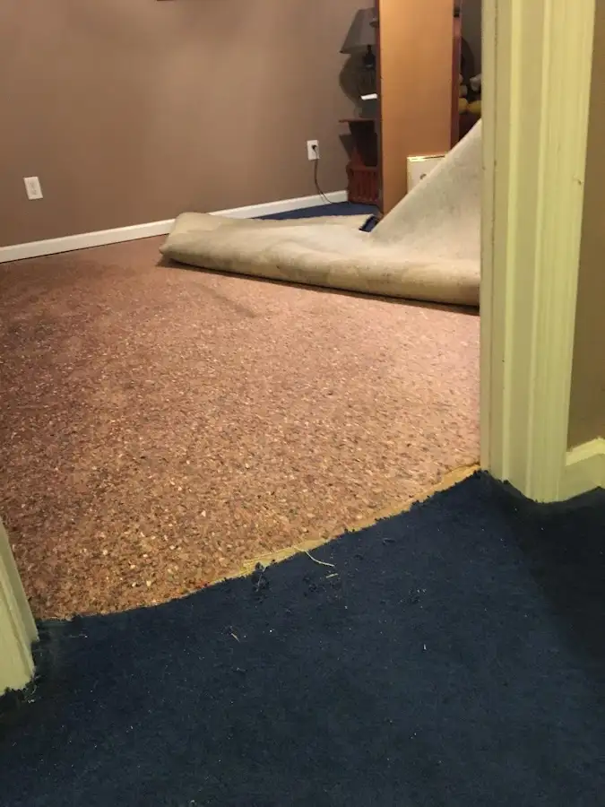 Carpet pad removal revealing water damage during Water Mitigation Services in Zeeland