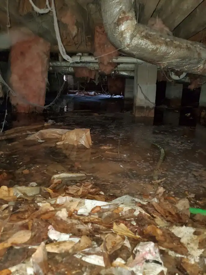 Crawl space flood assessment for Commercial Water Damage Restoration in Zeeland