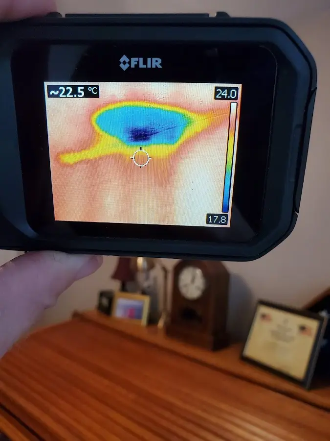 Thermal imaging inspection for water damage in Zeeland